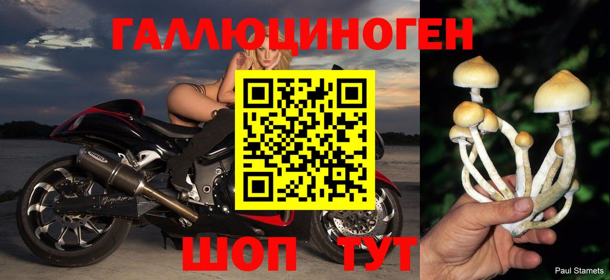 Псилоцибиновые грибы ЛСД Рузаевка
