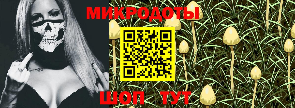 Галлюциногенные грибы ЛСД  Вход с VPN  как найти закладки  Рузаевка 